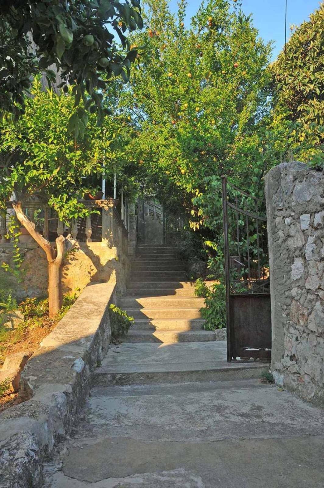 Spacious Room With A Panoramic View Of Harbor Dubrovnik Bagian luar foto